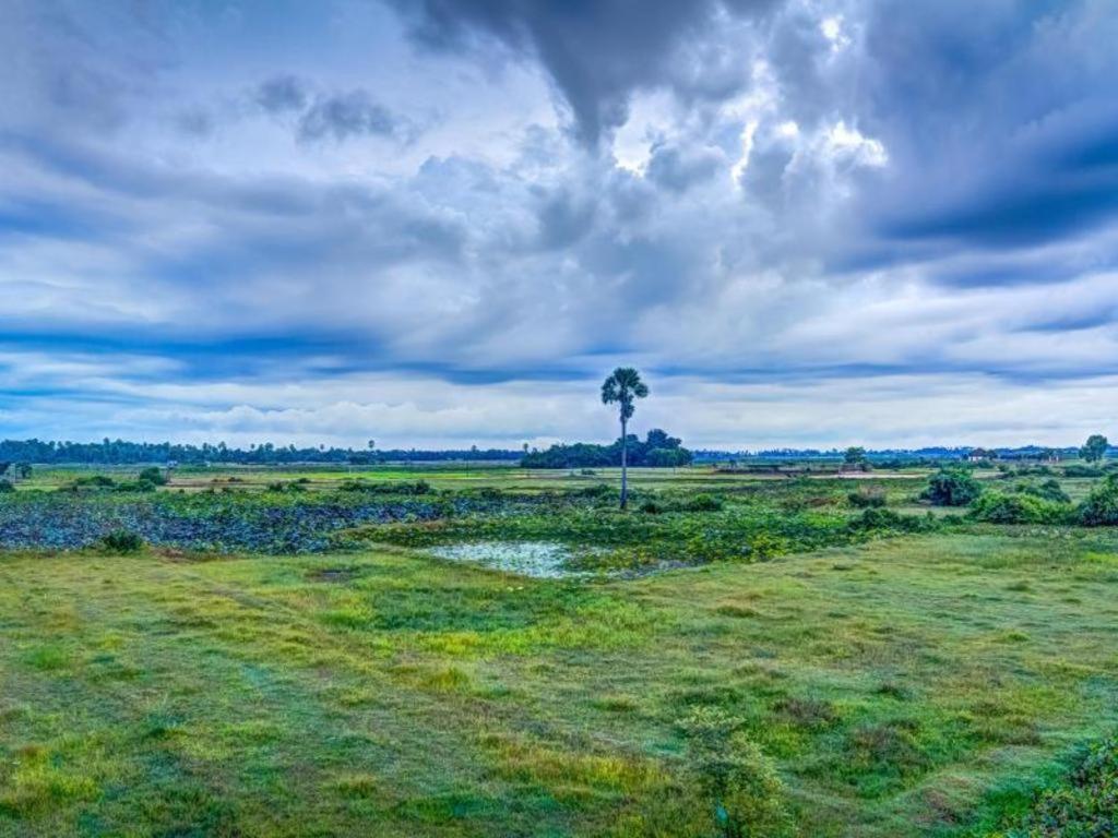 Ry'S Lotus Resort D'Angkor Siem Reap Buitenkant foto